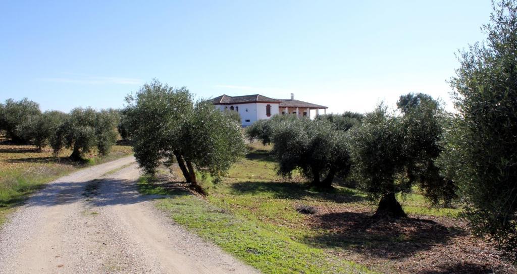 Casa Rural La Serrana La Carlota Exteriör bild
